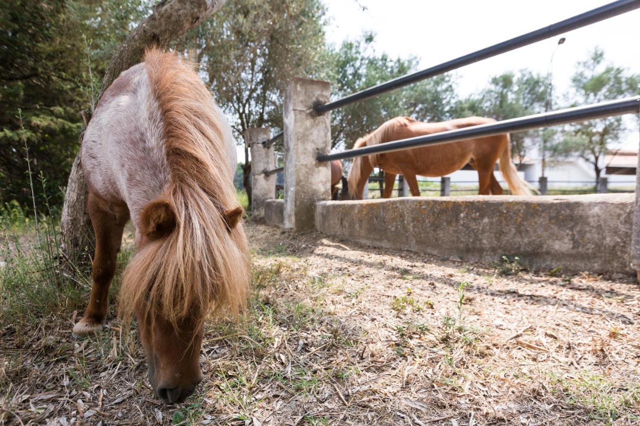 Masia Can Rovira - Esc1852 San Lorenzo de Hortóns Kültér fotó