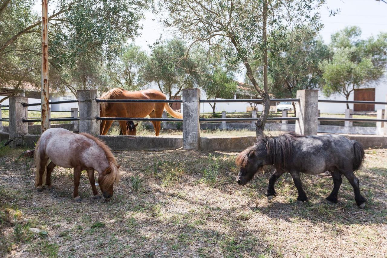 Masia Can Rovira - Esc1852 San Lorenzo de Hortóns Kültér fotó