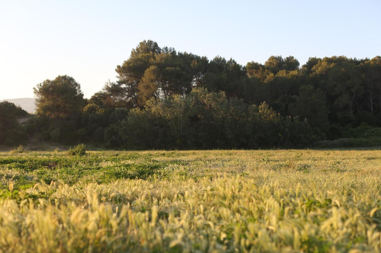 Masia Can Rovira - Esc1852 San Lorenzo de Hortóns Kültér fotó