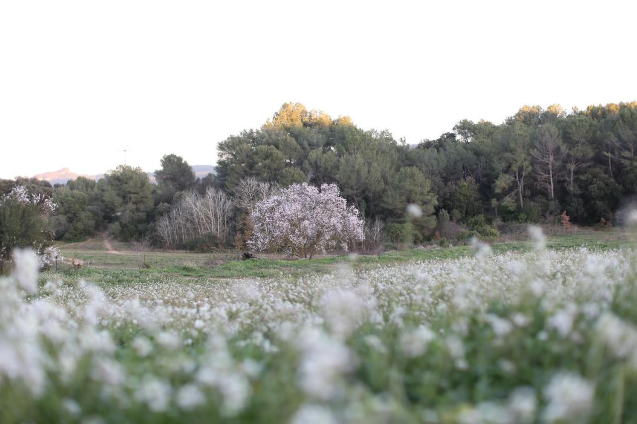 Masia Can Rovira - Esc1852 San Lorenzo de Hortóns Kültér fotó